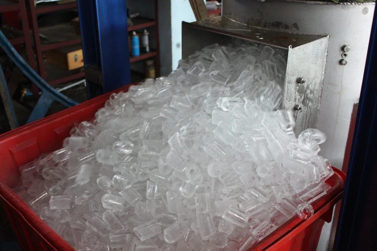 Eismaschine für Speiseeis für Bars/Restaurants/Tankstelle 1000kg