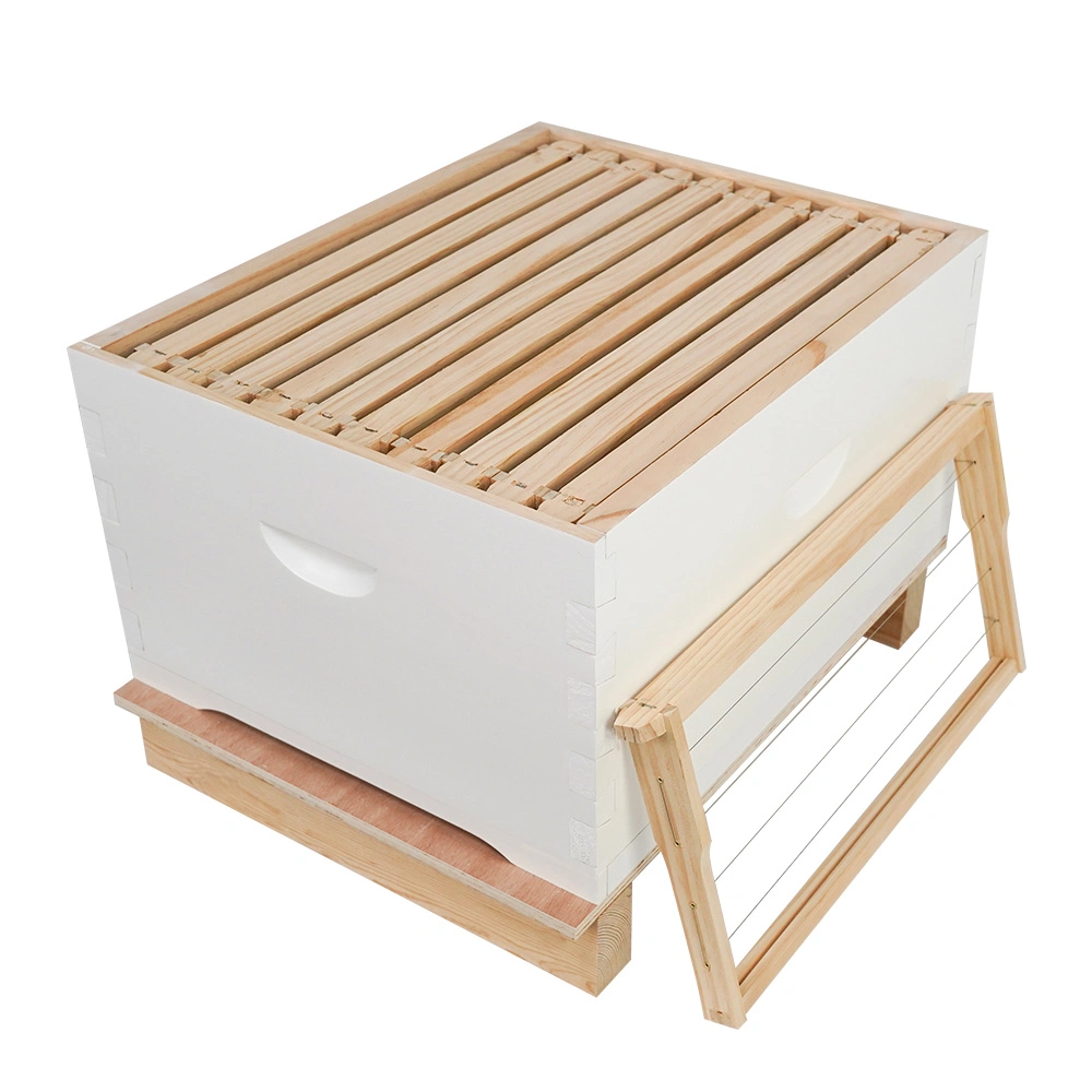 Manufacturers Bee Hive Frames Box Australian Beehive Iron Wire Series Suit