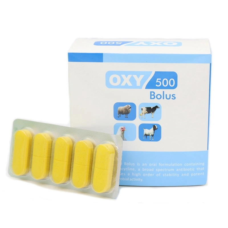 Antibiotic Medicine Oxytetracycline Tablets/Bolus Veterinary Drug for Camel Cattle Sheep Goats