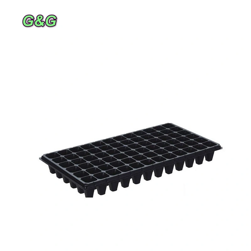 Tray Hydroponic Flat 1020 with or Without Holes for Planting Microverts Wheatgrass Rice Seedling Tray