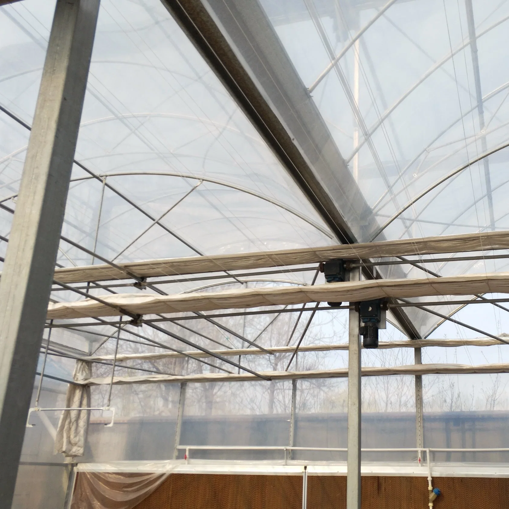 Agricultural Greenhouses Winter Gardens with Hydroponics System for Mushroom Growing