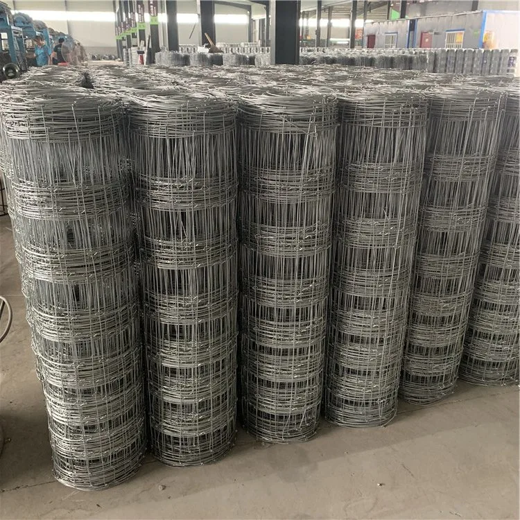 Hinged Joint Galvanized Wire Mesh Netting Deer Fencing Mesh