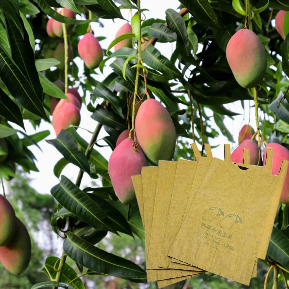 El mejor precio creciente Fruting Protección mango fresco Protector de la uva de la bolsa de papel Kraft bolsas de fruta de la tapa a prueba de agua