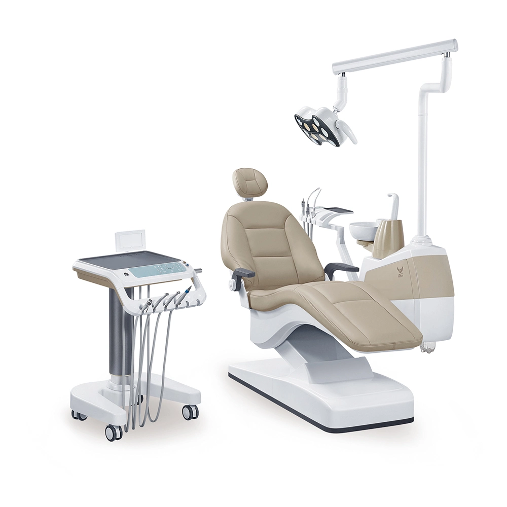 Silla dental de función múltiple aprobada por CE Tpc Silla dental / Silla Planmeca / Fabricantes de instrumentos dentales