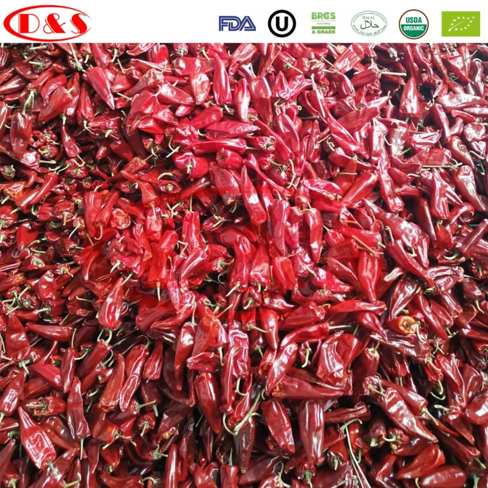 Nuevo cultivo de hierbas secas Chili Paprika ahumado de color rojo dulce en polvo