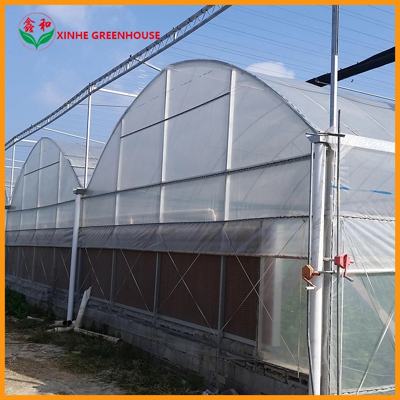 Smart Greenhouse with Electric Window for Hydroponics System