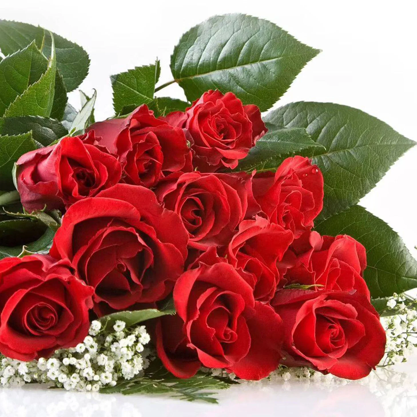 Corte fresco Rose presente de promoção de Flores decorativas Dia dos Namorados da Monther dia 20PCS/Bundle