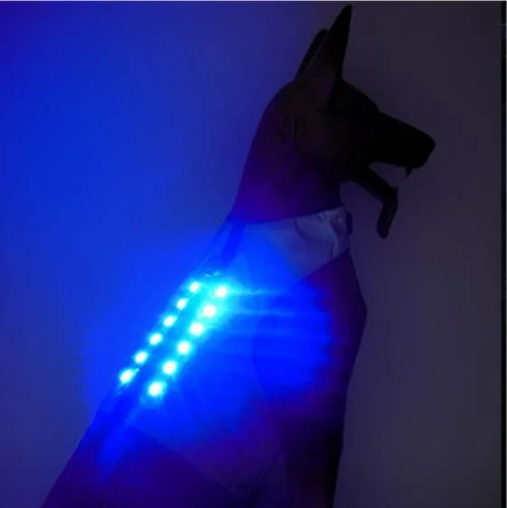 Coffre de nuit réfléchissant de la qualité de l'éclairage LED Flash chien Vêtements pet