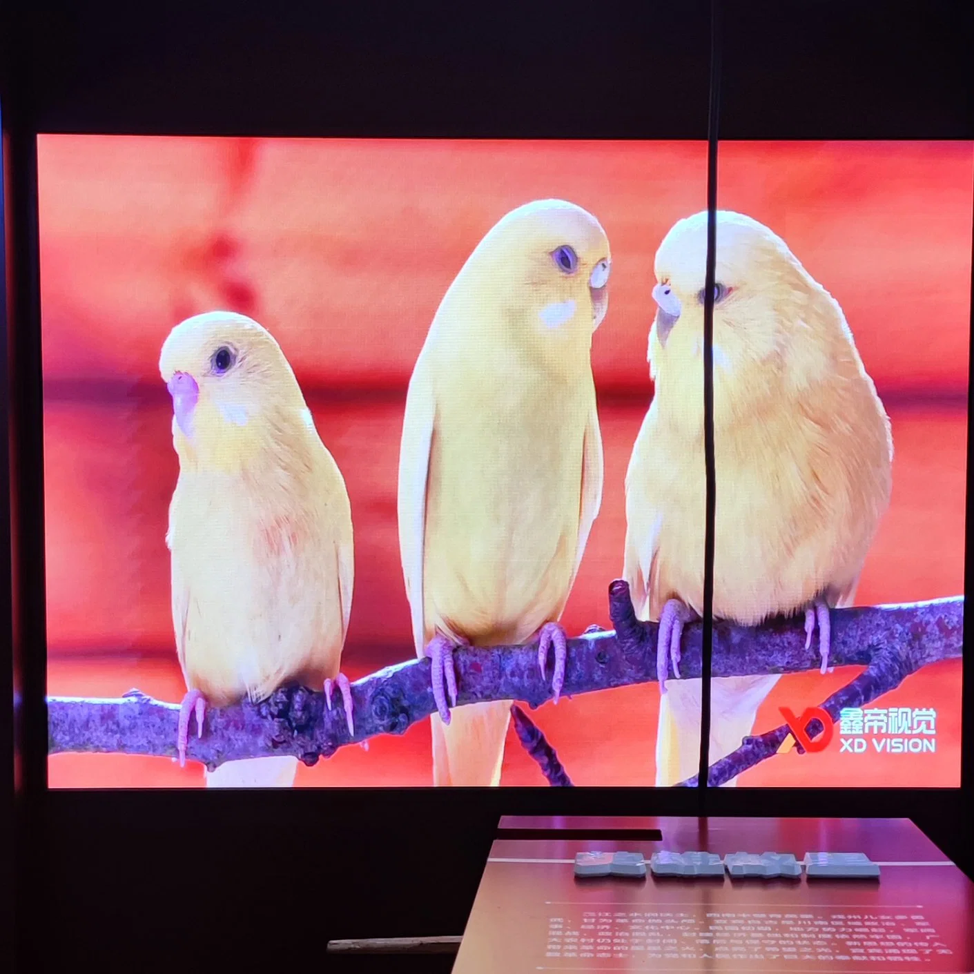 pH1,67 P1,67 Video mit SMD1212-Farb-LED-Display für den Innenbereich LED-Fernseher mit Wandanschluss