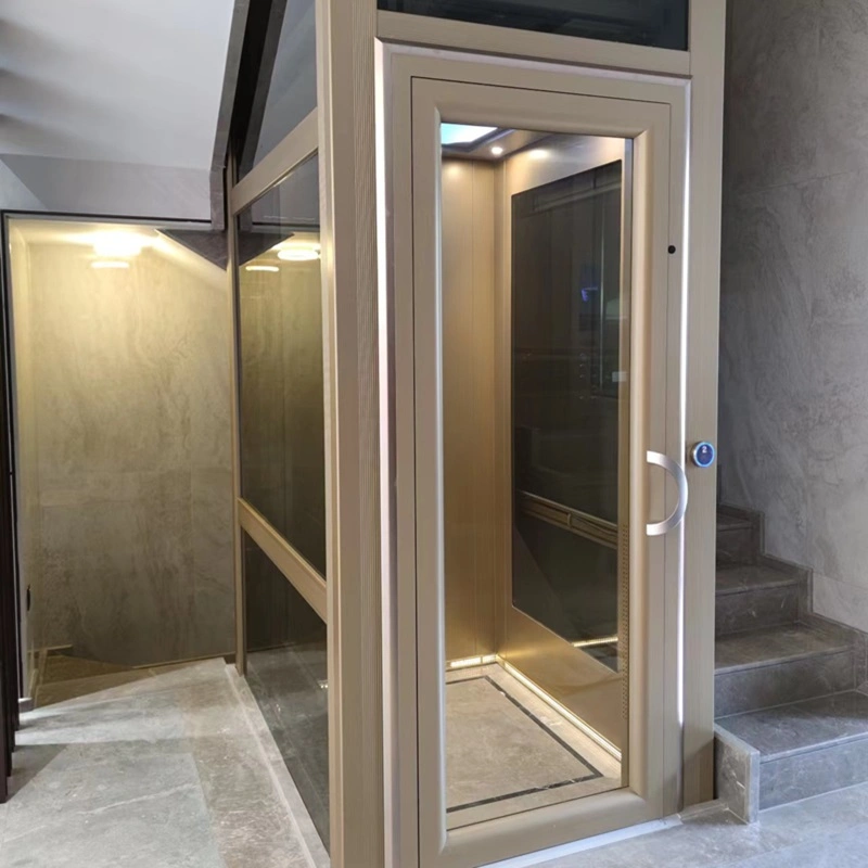 Customized 320kg 400kg Hydraulic Residential Villa Elevator Without Pit Platform Home Lift