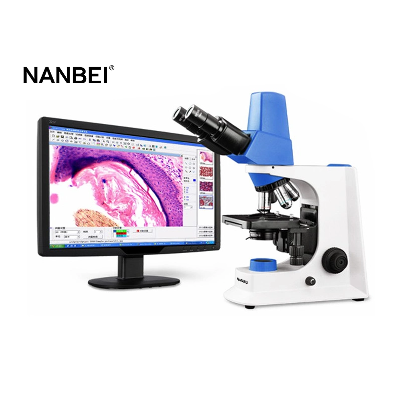 High Resolution Built-in 5MP Digital Camera System 1000X Digital Microscope