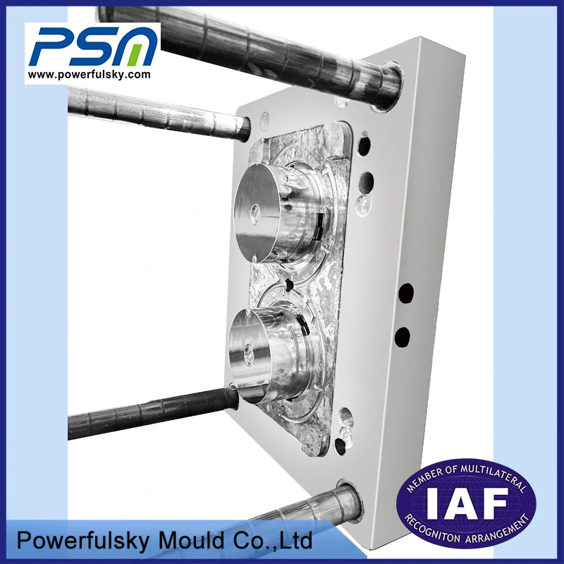 Powerfulsky ABS Plastic Injection Moulding