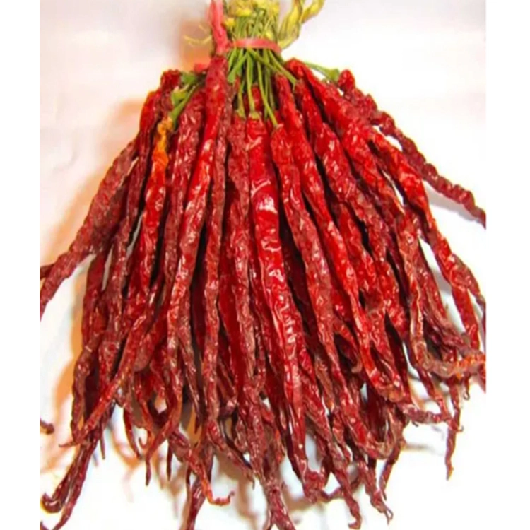 Wholesale/Supplier Spicy Red Dry Chili