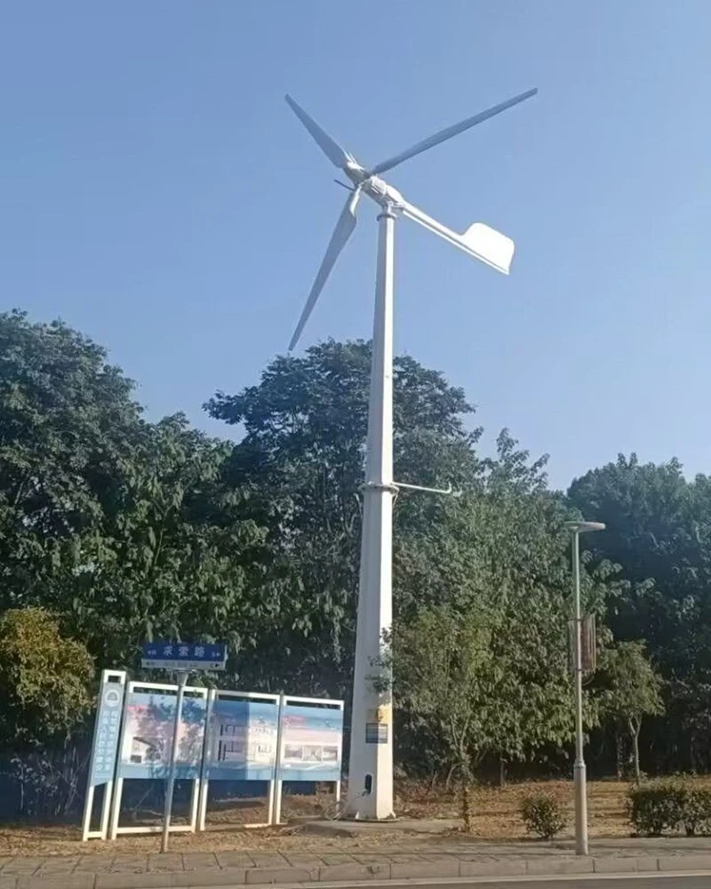 Turbina do gerador de energia eólica do travão automático