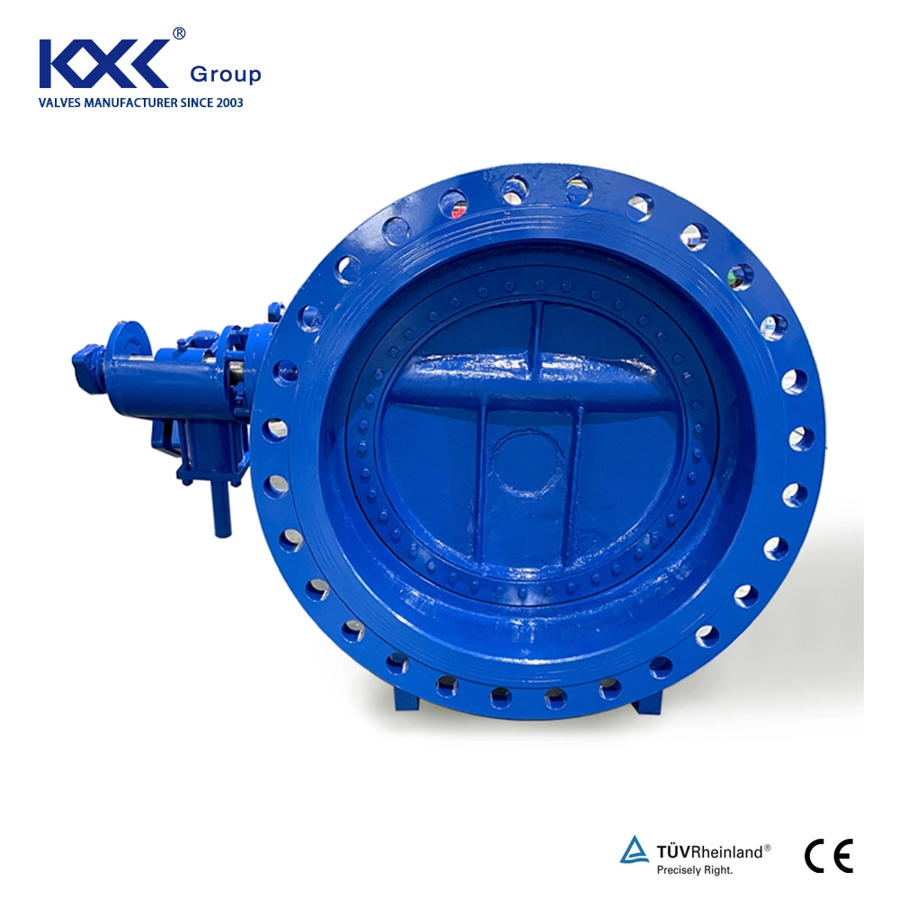 Tilting Check Valve Check SS304 DN200 8" Ductile Iron Disc Class 150 CF8 Tilting Type Single Disc