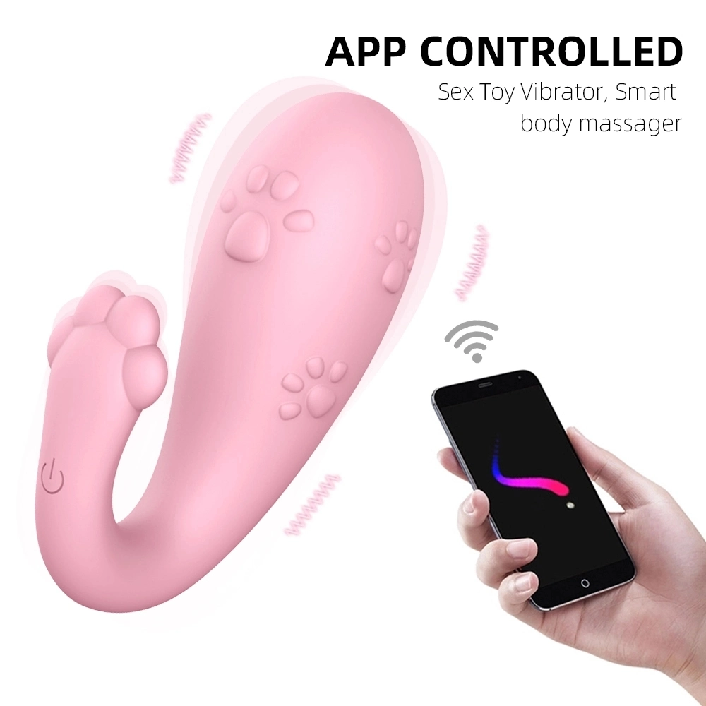 Contrôle du téléphone mobile rechargeable APP vibreur pour les femmes sex toy