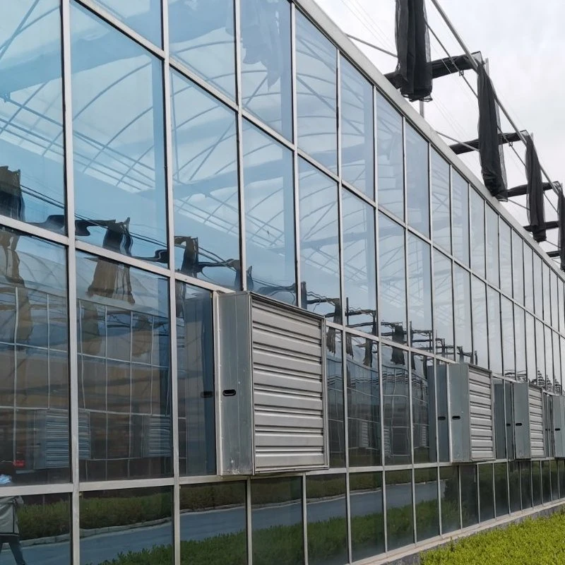 Manufacturer Glass Greenhouse for Planting Vegetables