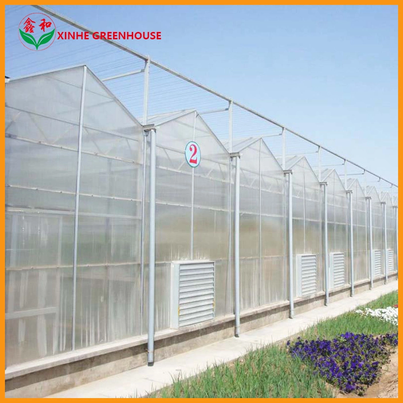 Commercial/Agriculture Polycarbonate Rain Gutter Steel Structure Greenhouse with Hydroponic System for Tomato/ Cucumber/ Lettuce/ Pepper Planting