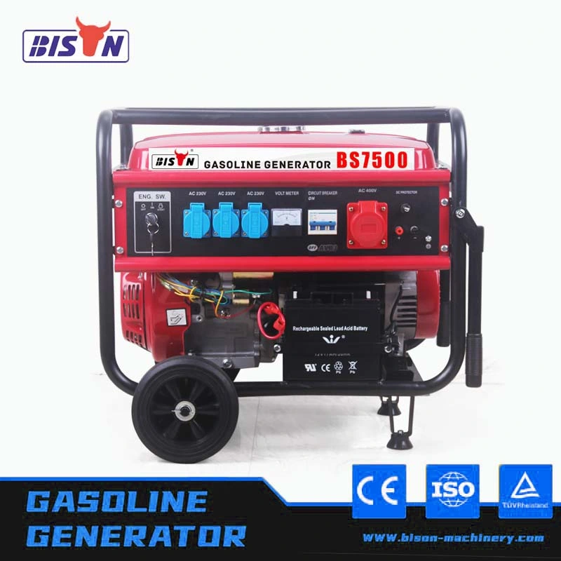 Bison Mini Generador Elctrico Gasolina De 6000W 6.0kw PARA 110V