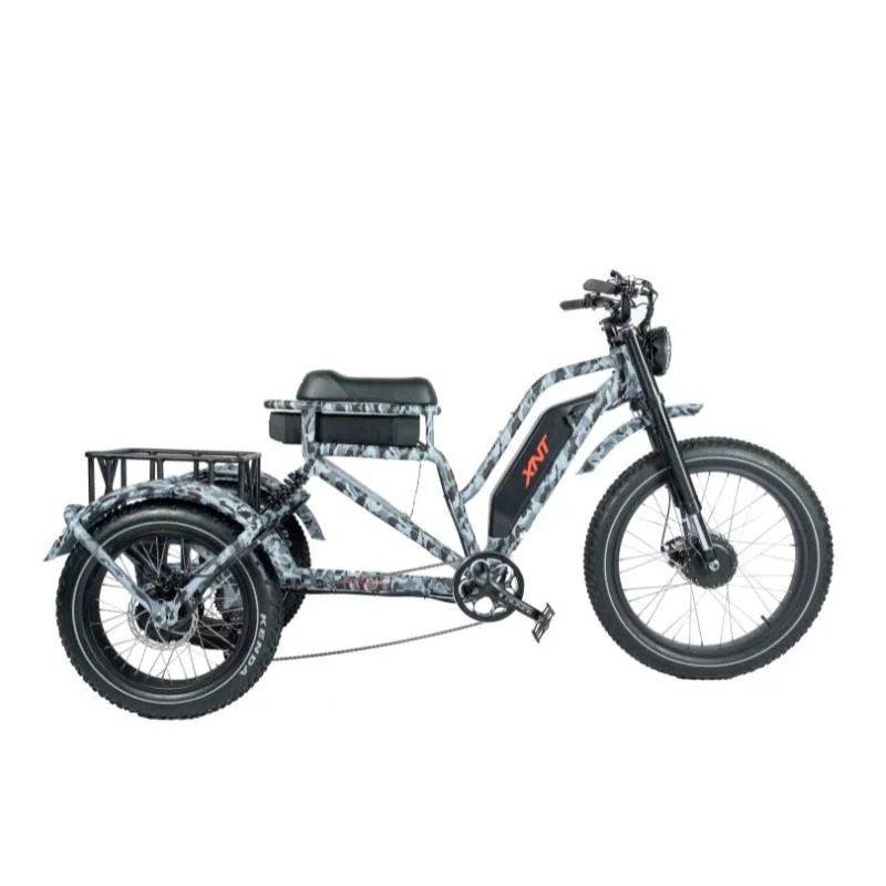 Most Popular Electric Cargo Tricycle with Dual Battery