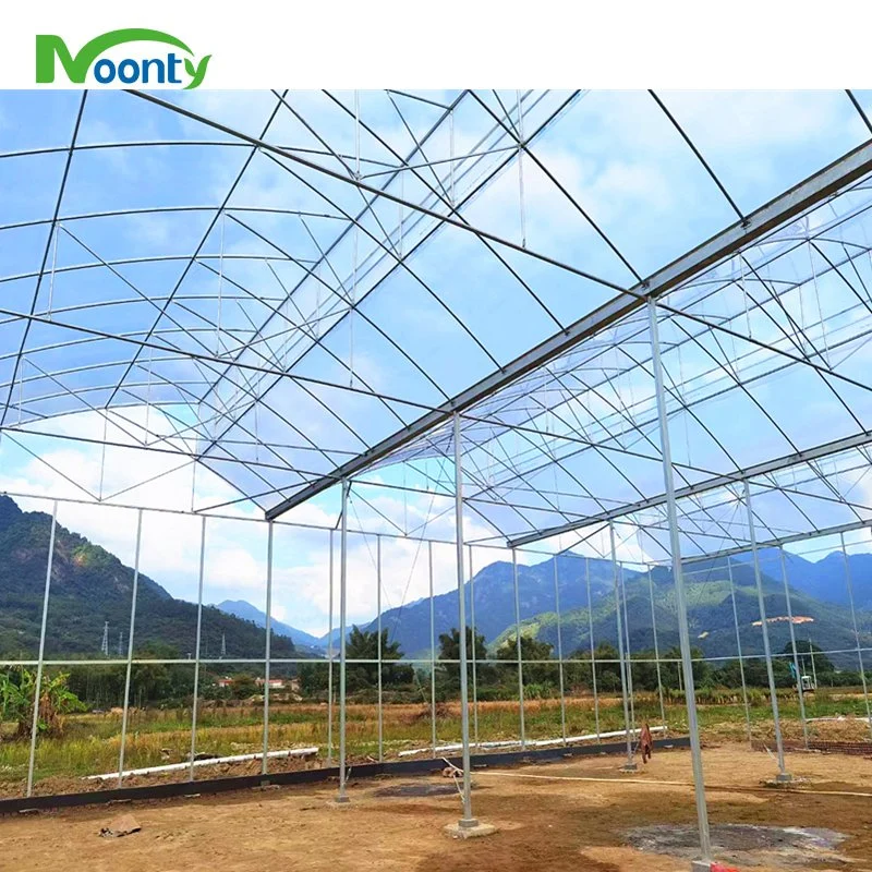 China Lieferant Multi Span Sawtooth Dach Film Greenhouse mit Bewässerung System