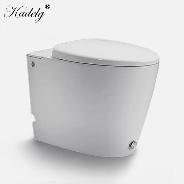 Back to Wall Portable Toilet Pulse Tankless Floor Mounted Toilet