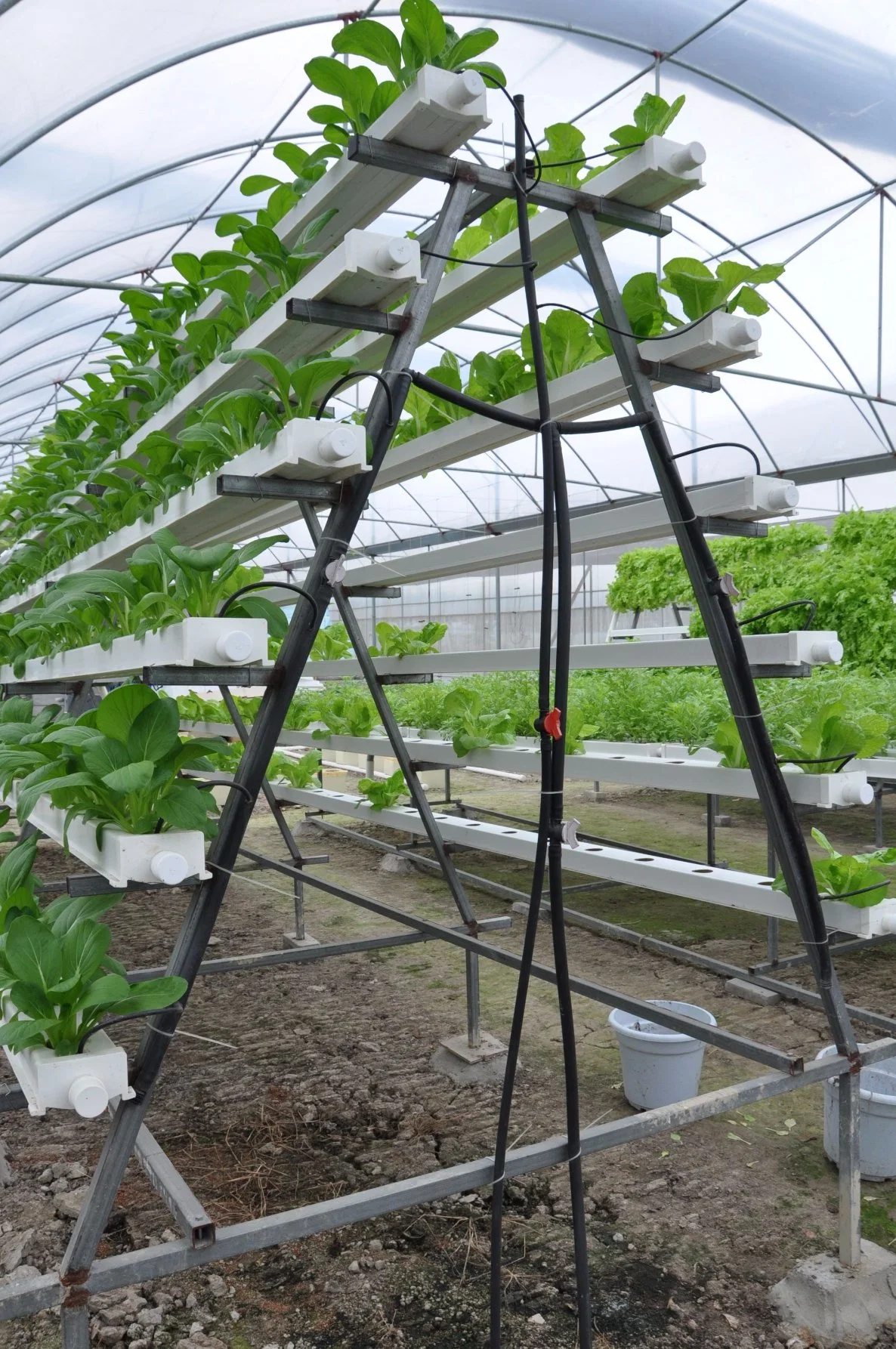 Nft Channel Vertical and Horizontal Hydroponic Growing Systems