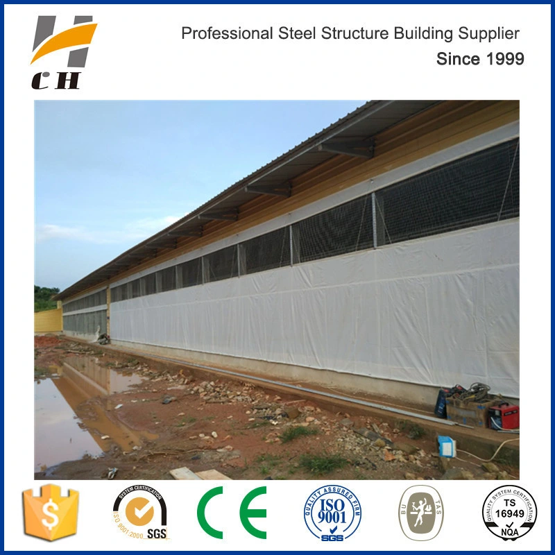 Noiseproof & Insulation Chicken Shed Poultry Farm with Light Steel Frame&Sandwich Panel