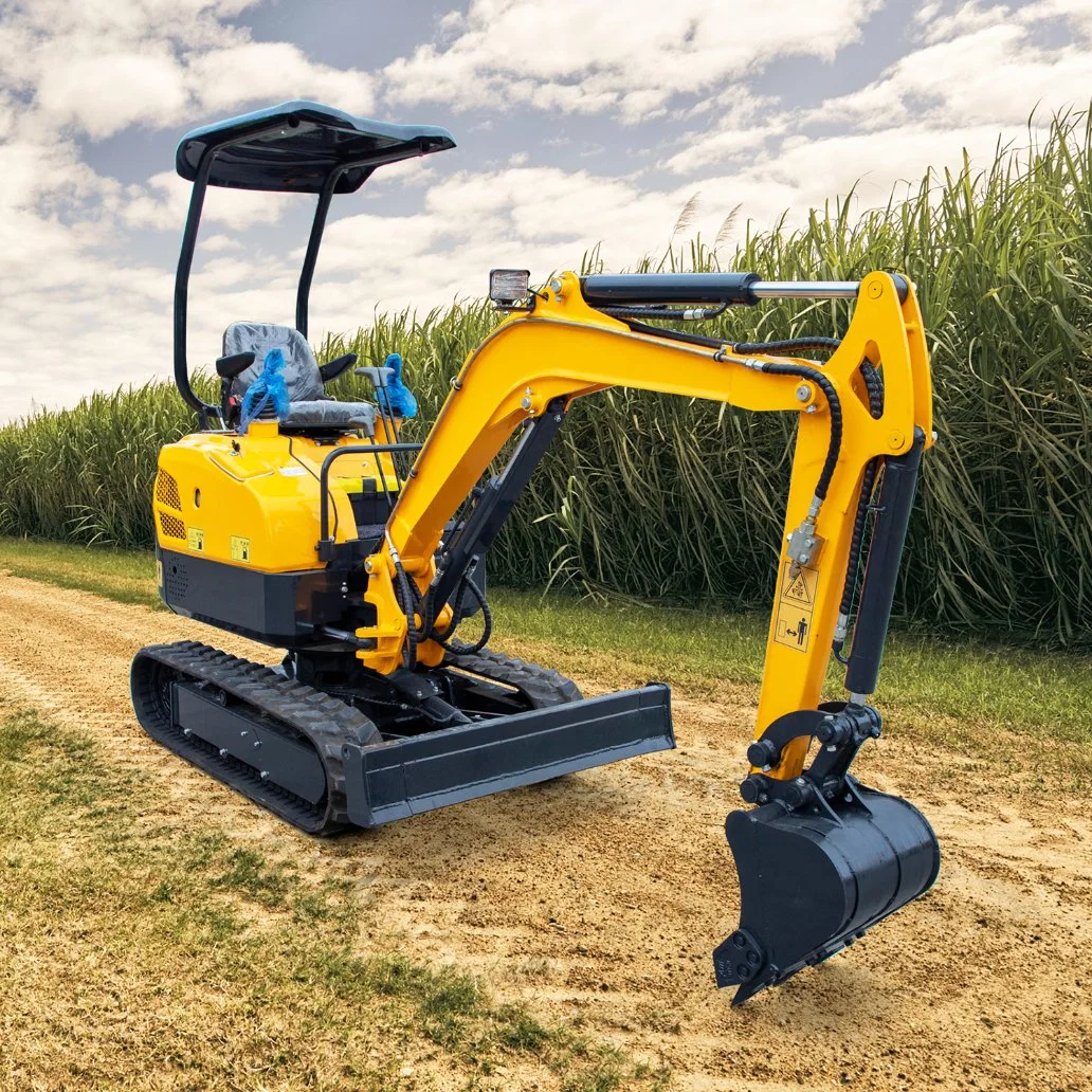 La construcción emplea Mini Excavadora de la máquina con motor de famosos