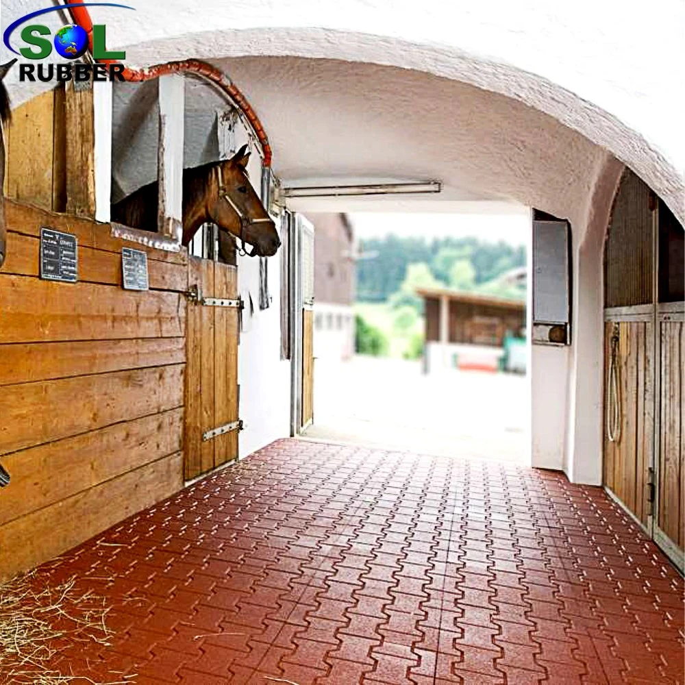 Sol Rubber Colorful Horse Floor Dog Bone Rubber Paver Tiles