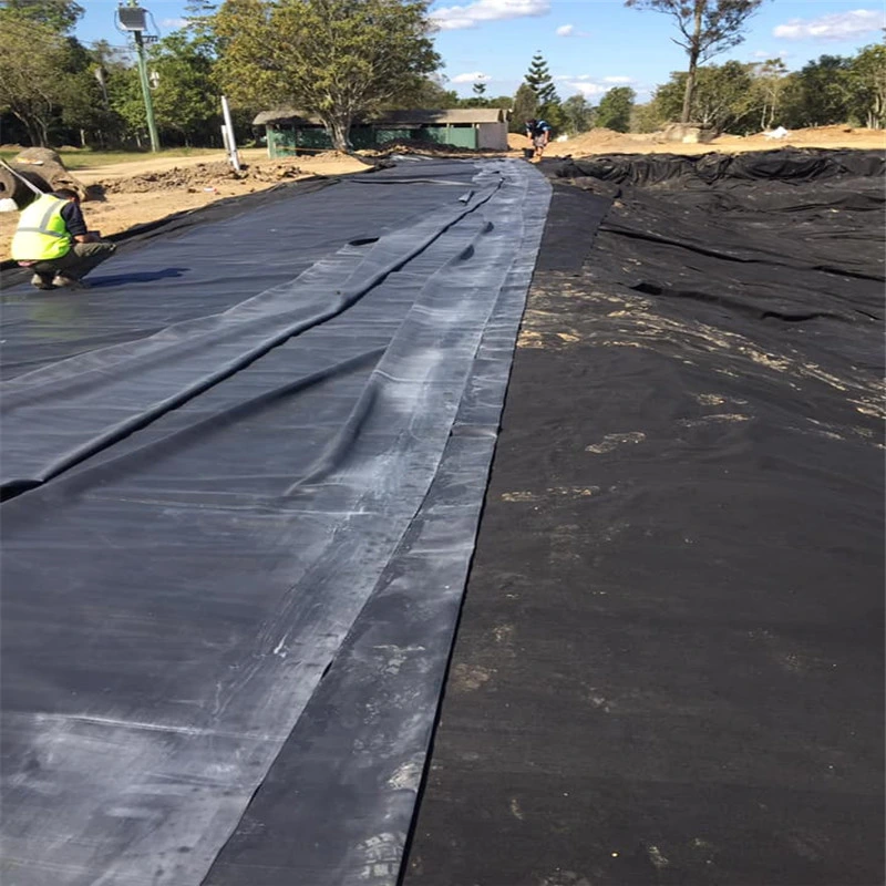 Pond polythene 60 MIL Poly Liner Tippos De Geomembranas