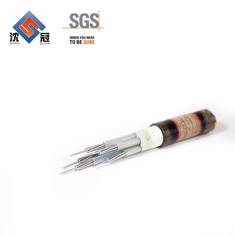 Shenguan China Supplier 10kv 3 Core 240mm2 Al/XLPE/Cts/PVC/Sta/PE Power Cable HDMI to DVI Audio Video Cable