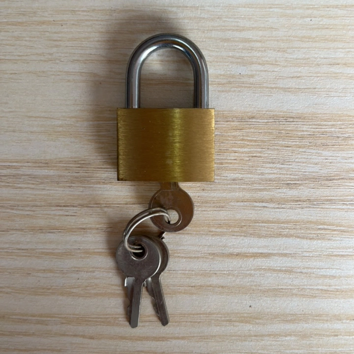 Master Key System Solid Brass Padlock