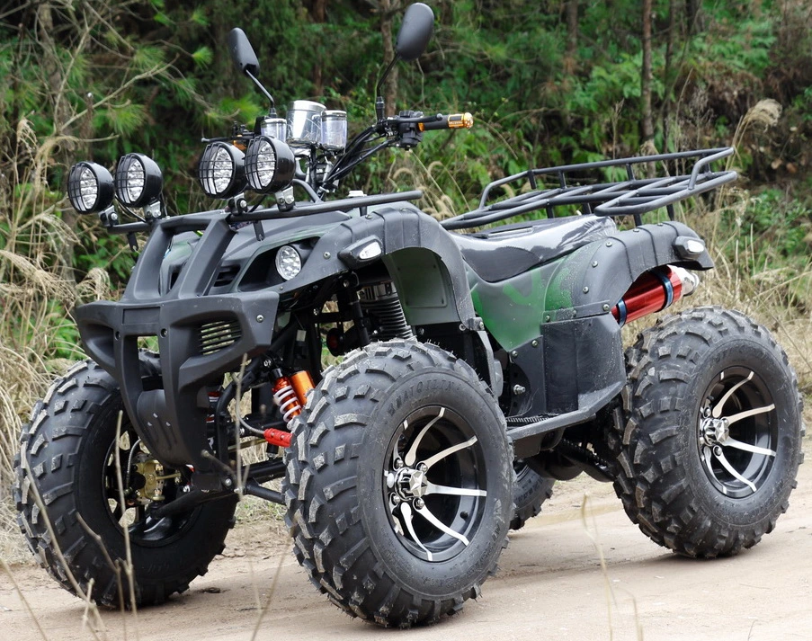 4-Rad Fast Speed 2WD ATV All-Terrain Mountain Kart