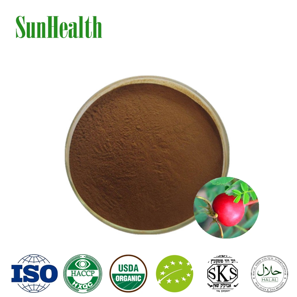 Plant Extract Natural Rose Hip Vc Powder Rose Hip Extract