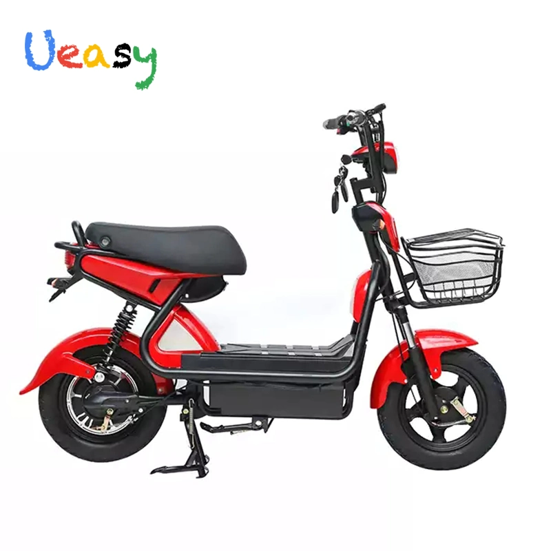 Long Battery Life Adult Electric Bicycle Two Wheel Electric Bike CE Certification 48V 12ah