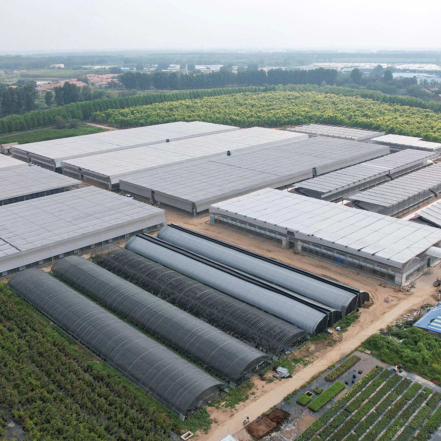 Horticuture Used Plastic Film Greenhouse Farm with Inner/Outer Shading System