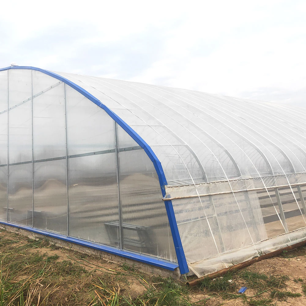 Multi-Span Plastic Po PE Film for Greenhouse with Steel/Hot Galvanizing Frame Seedbed Irrigating System Boiler Fan