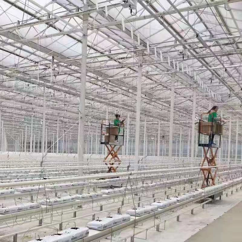 Garden Plastic Multi Span Film Poly Greenhouse with Hydroponic System