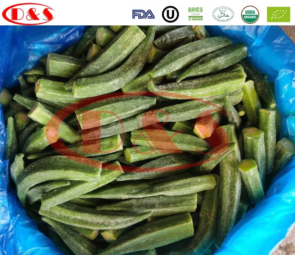 Fresh Vegetable Bean Sprout IQF Frozen Green Bean Sprout with Private Label