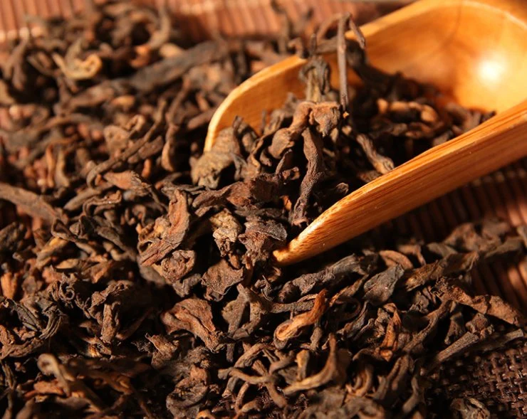 Yunnan Pu'er Tea Early Spring Fermentation Ancient Tree Tea