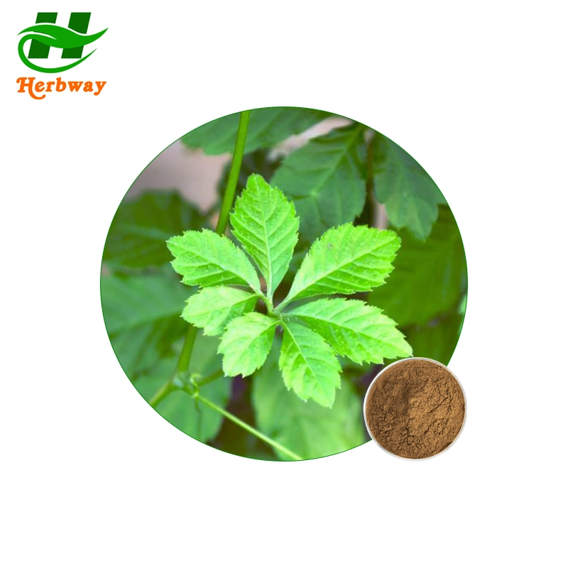 Herbway النباتات استخراج ملحق التغذية Jynostemma استخراج الجيماتشما خنفها