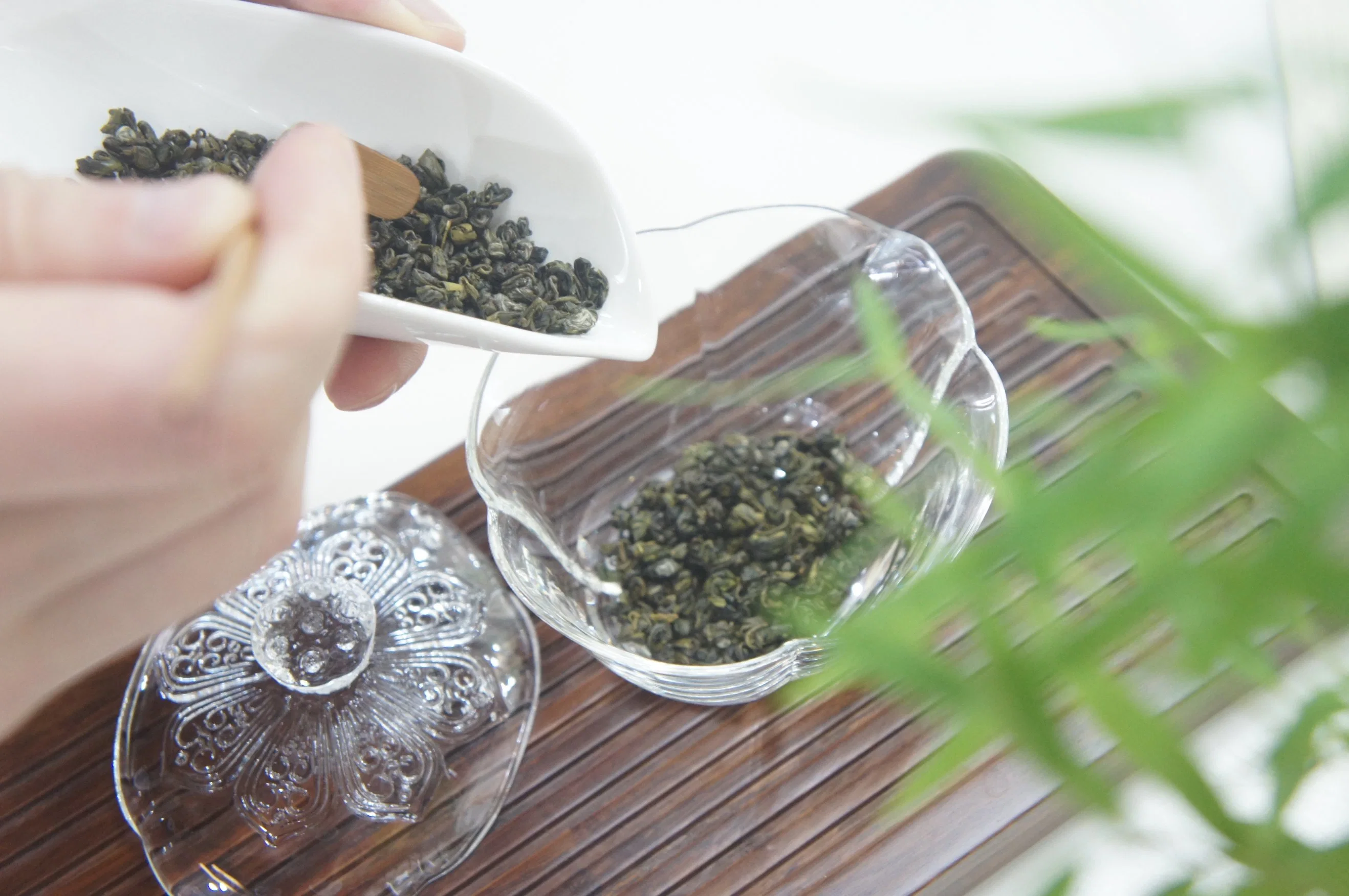 Hot Selling Chinese Green Tea Loose Tea Wholesale/Supplier