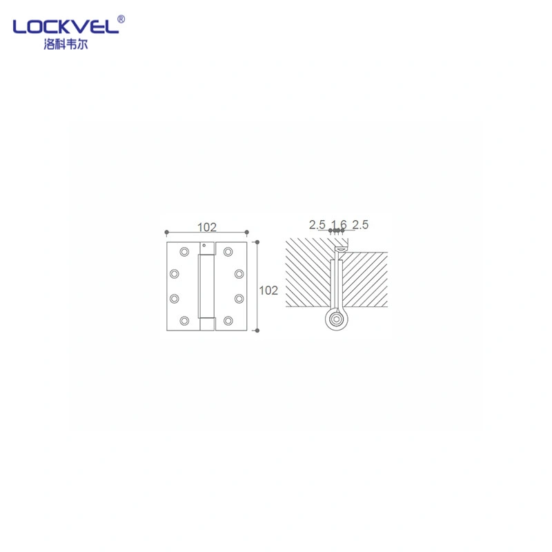 Professional Customization 304 Stainless Steel Spring Hinge for Door