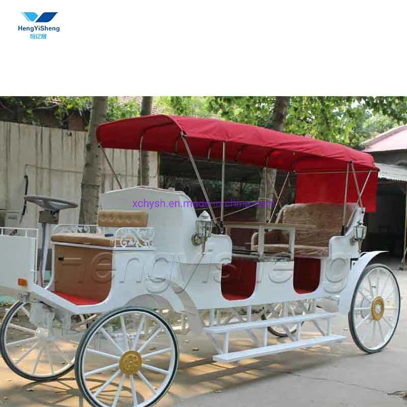 Special Transportation for Sightseeing Tourism Electric Carriage