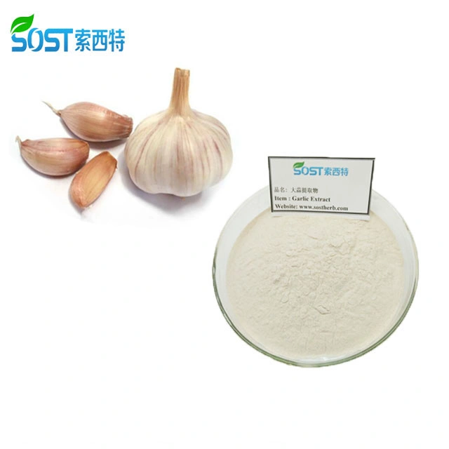 EU Organic Fresh Dehydrated Garlic Powder with Best Price