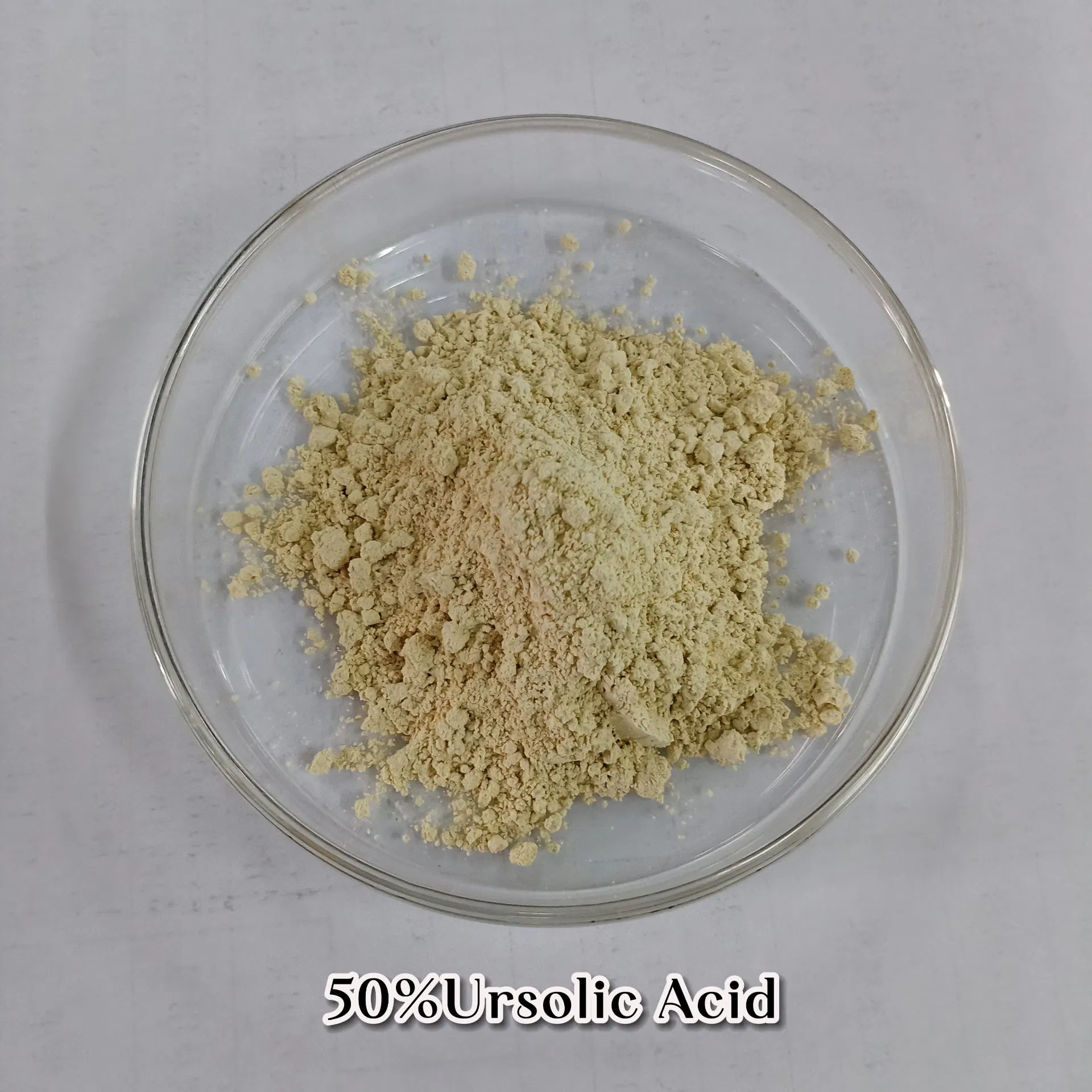 المواصفات المتعددة مستخرج نبات روزماري حامض أورسوليوريك Rosemary Carnosic Rosemary Acid