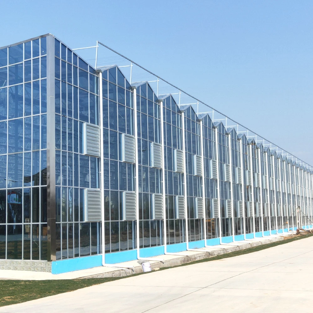 Single Multi-Span Layer Intelligent Sunlight PC Glass Greenhouse for Vegetables/Fruit/Experiment/Eco Restaurant with Fan Boiler