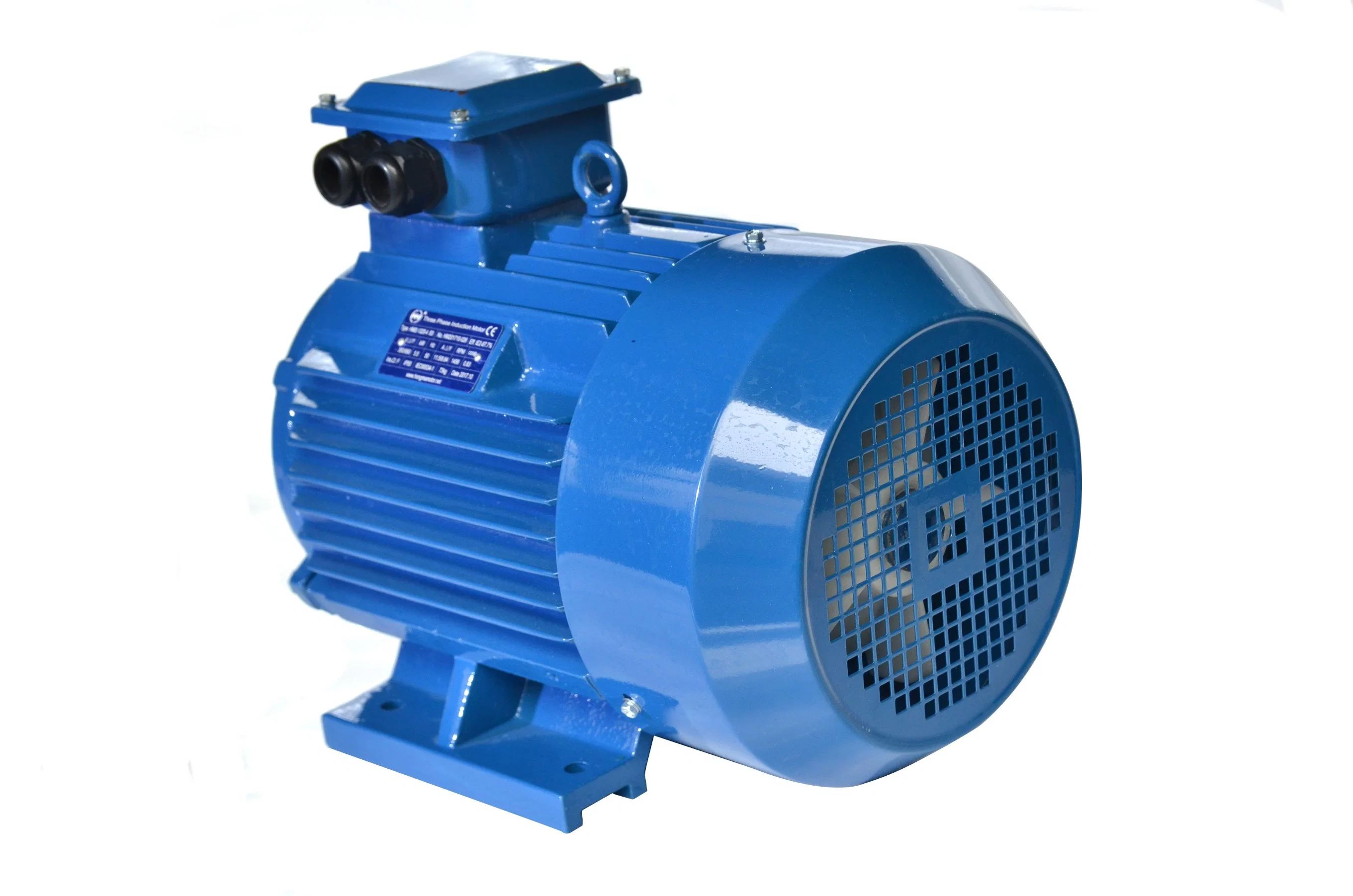 Ie1 Eff2 Series Cast-Iron Housing Asynchronous Electric Motor with 2pole-22kw