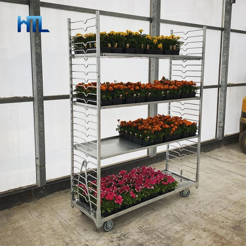 Jardim Horticultural galvanizado metal planta dinamarquesa viveiro Transporte cc Trolley